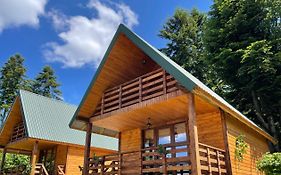 Hill Hut